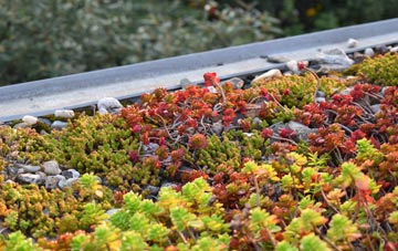 the cost of Bolas Heath green roof installation