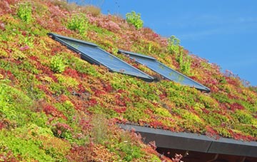 Bolas Heath living roof systems