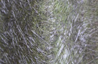 Bolas Heath fibreglass roof work